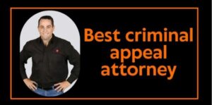 Top Criminal Appeal Lawyers