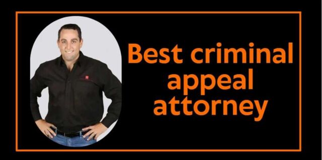 Top Criminal Appeal Lawyers